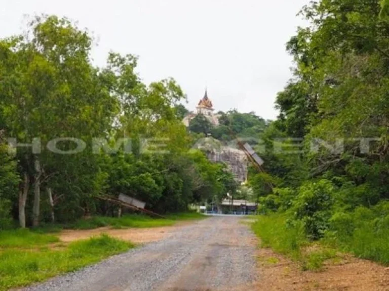 ขายที่ดินเปล่า 100 ตรว ที่ดินจัดสรร ตหนองปลาไหล เมืองสระบุรี