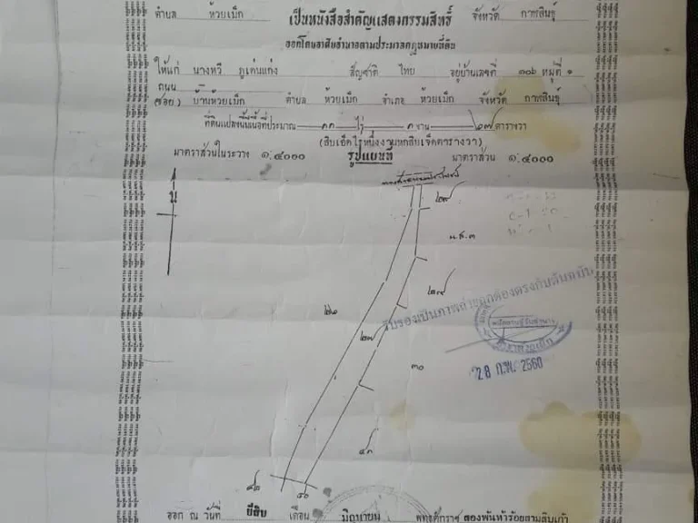 ขายที่ดิน11ไร่ขายยอแปลง