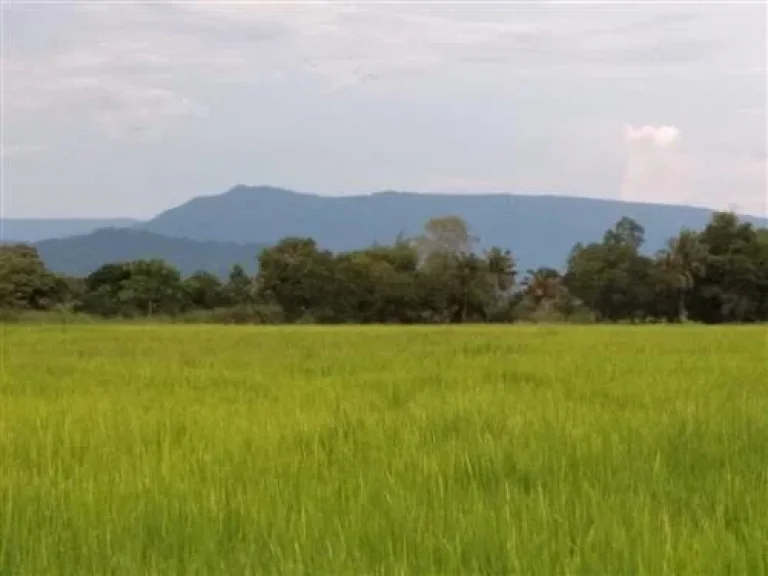 ที่ดิน ติดคลองชลประทาน วิวเขา ไกล้ สุวรรณศร