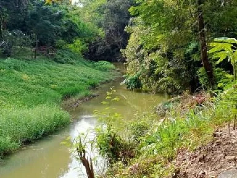 ขายที่ดินถม 136 ตร-ว ติดลำน้ำร่องขุ่น