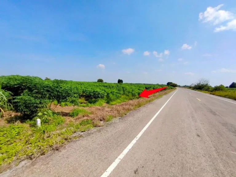 ขายที่ดินสวยถูกมาก หน้ากว้างติดถนนดำ อำเภอเดิมบางนางบวช จังหวัดสุพรรณบุรี ใกล้เทศบาลตำบลหนองกระทุ่ม ติดถนนดำ ทำเลดี