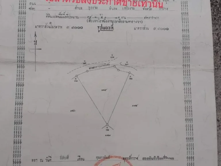 ขายที่ดิน 10 ไร่ ติดถนนลาดยาง