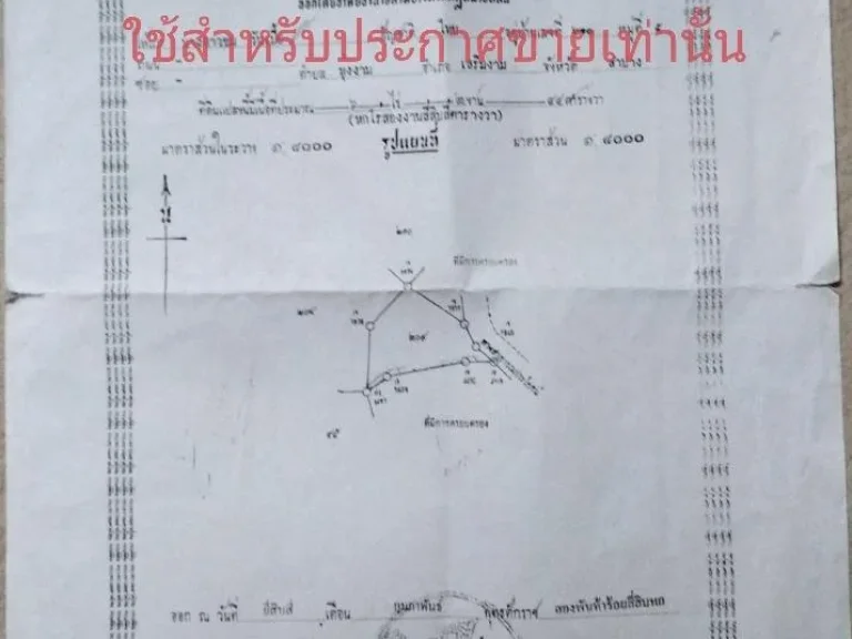 ขายที่ดิน 6 ไร่ 2 งาน