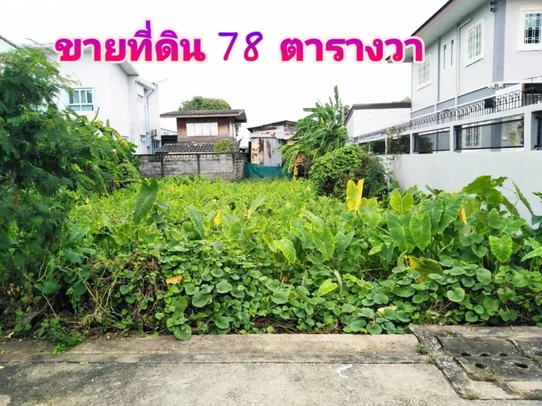 ขายที่ดินเปล่า 78 ตรว ถนนพุทธมณฑลสาย 2  ถนนนครลุง