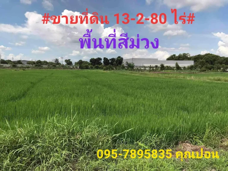 ขายที่ดินทำเลทองนิคมโรจนะอยุธยาผังสีม่วง ขายถูกพิกัด ตอุทัย ออุทัย จอยุธยาพื้นที่สีม่วง