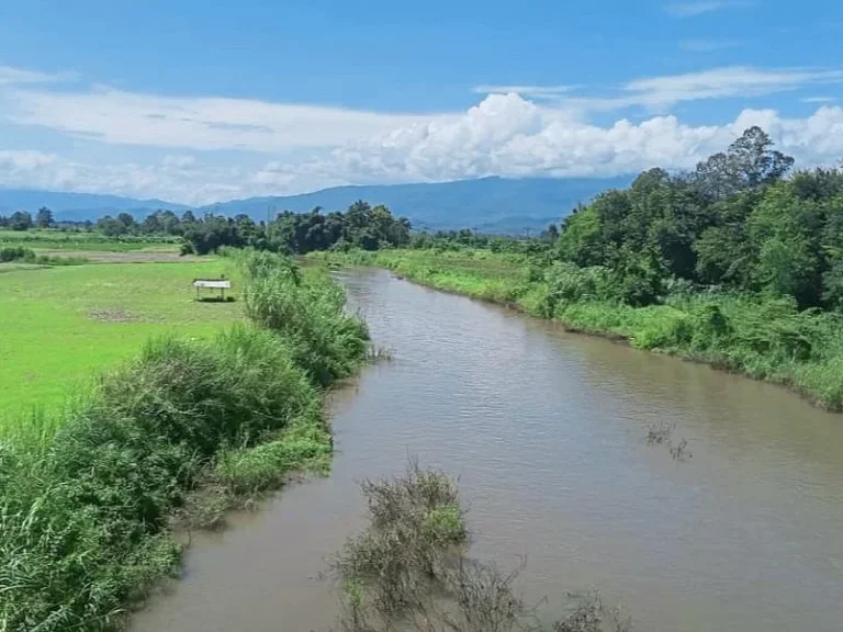 ขายที่ดินโฉนด วิวภูเขาล้อมรอบ ติดลำน้ำฝาง แม่อาย