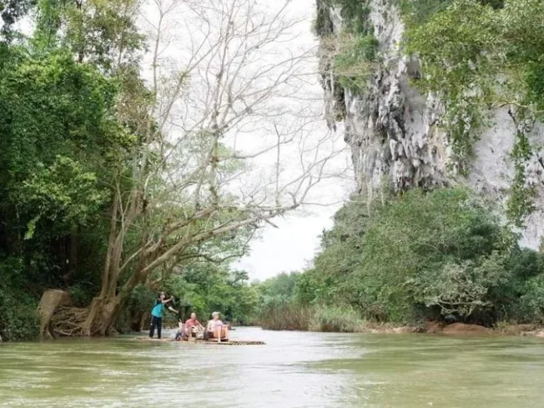 ขายที่ดินติดคลองสก 8 ไร่ อพนม จสุราษฎร์ Land for sale in Khlong Sok Canal 8 rai Phanom Suratthani