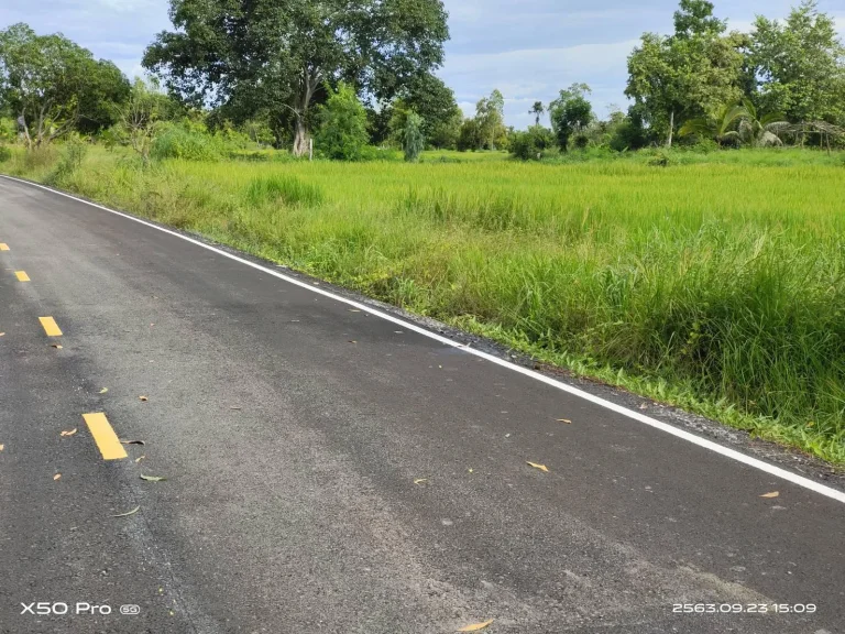 ขายที่ดิน7ไร่2งานหน้ากว้าง120เมตรเลียบคลองชลประทานบ้านถ่อนใกล้ห้างโลตัสนาดีและห้างตั้งงี่สุนนาดีราคาไร่ล่ะ17ล้านต่อไร่