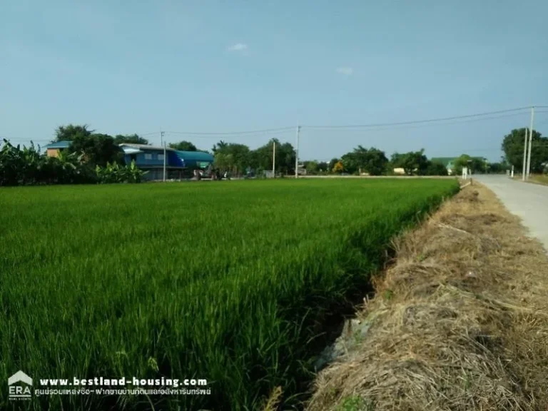 ขายที่ดินเปล่า 1 ไร่ ซอยวัดราษฏร์ศรัทธาธรรม ถกาญจนาภิเษก ติดถนนลาดยาง