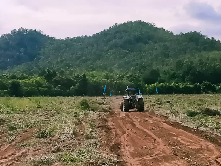 ที่สุดของวิวเขา 3 ไร่ โฉนด ฟรีโอน