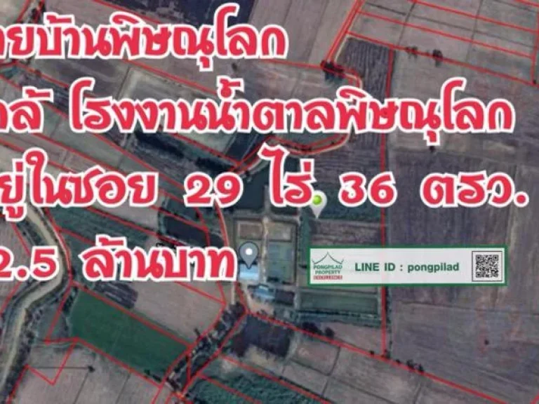 gt ขายบ้านพิษณุโลก ใกล้โรงงานน้ำตาลพิษณุโลก 29 ไร่ 36 ตรว