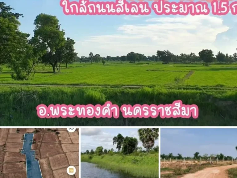 ขายแล้วขายที่ดินโฉนดครุฑแดง 5 ไร่ 130000ไร่ ใกล้ถนนสี่เลน 15 กม โคราช