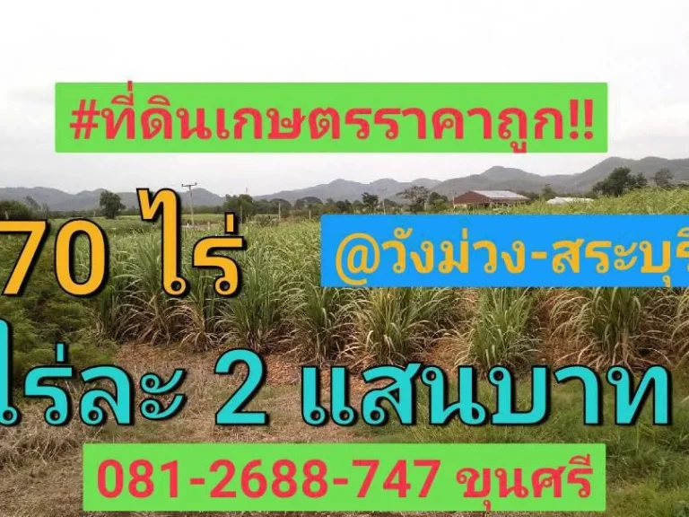 ที่ดินเกษตร 70 ไร่เศษ วิวภูเขา ราคาถูก ตำบล แสลงพัน อำเภอ วังม่วงสระบุรี