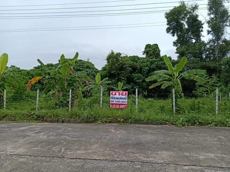 ขายที่ดินเปล่า ที่ดินพร้อมขาย ขายที่ดินจัดสรร ขายที่ดินในหมูบ้านมณฑาการ์เด้น ขายที่ดินใกล้ถนนมณฑาการ์เด้น ขายที่ดินในเมือง