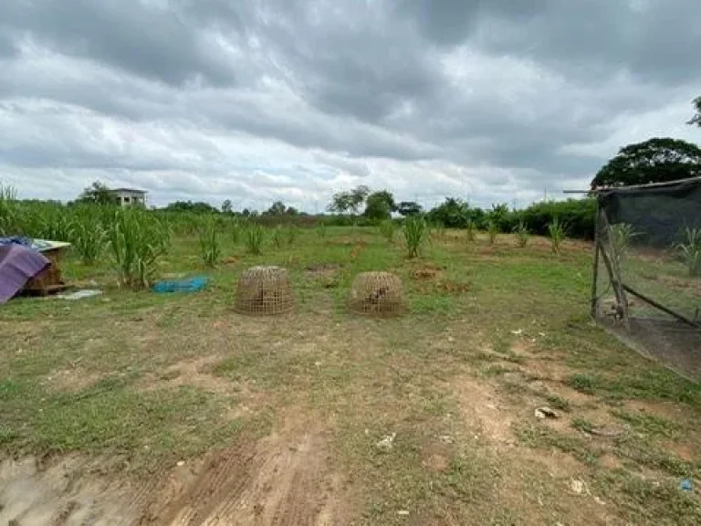 ที่ดินเปล่า สามโคก ปทุมธานี ติดถนนคอนกรีต 8 ไร่ ติดถนนเลียบทางด่วน