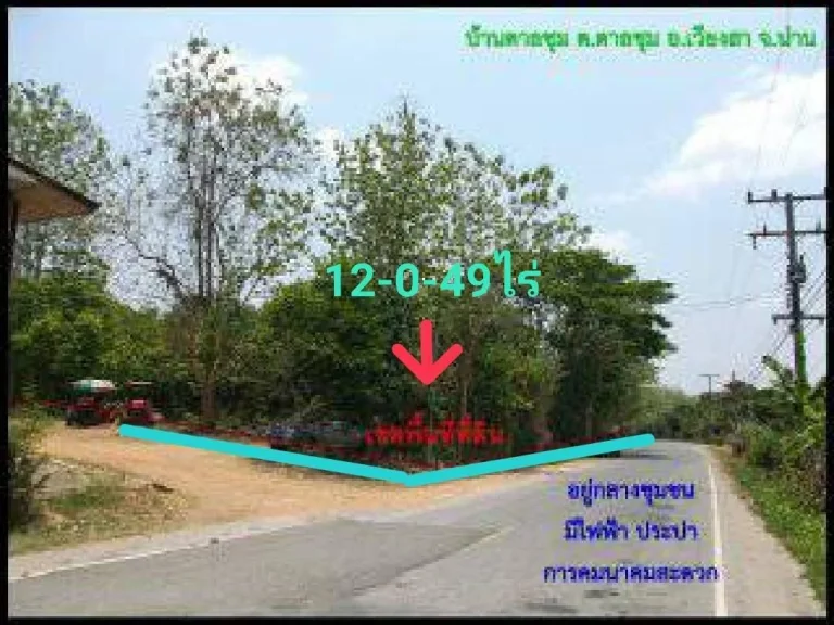 ขายที่ดิน 12-0-49ไร่ ทำเลดีติดถนน3ด้าน อเวียงสา จน่าน