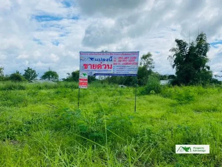 ที่ดิน100 ตรวที่ดินจัดสรร อวังสะพุง จเลย