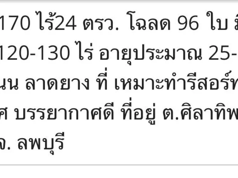 ขายที่ดิน 170ไร้ 96โฉลด