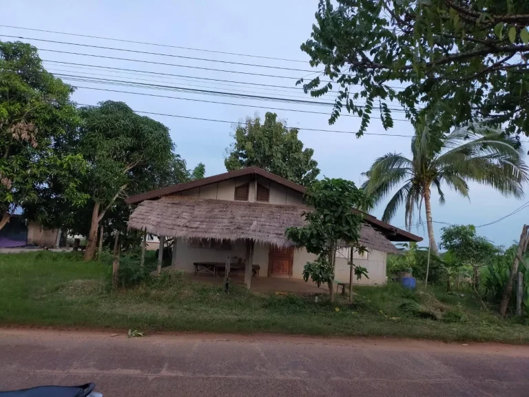 บ้านเดี่ยวขายตามสภาพ เนื้อที่เยอะ 100 ตรว บ้านโนนทรัพย์เดชอุดม