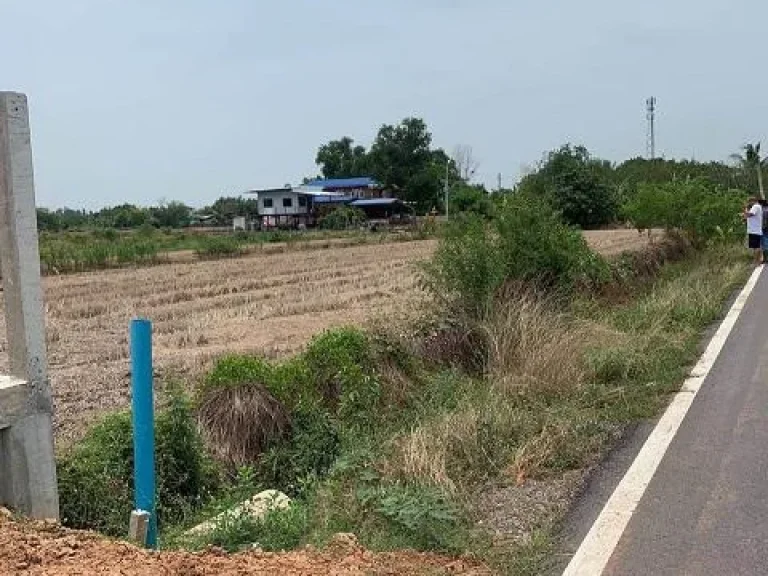 ขายที่ดินคลองหลวง 1งาน ที่ดินถมแล้ว ปทุมธานี