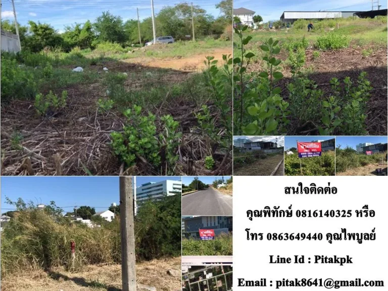 ขายที่ดินเมืองใหม่ ใกล้สะพานชลมารถวิถี ชลบุรี