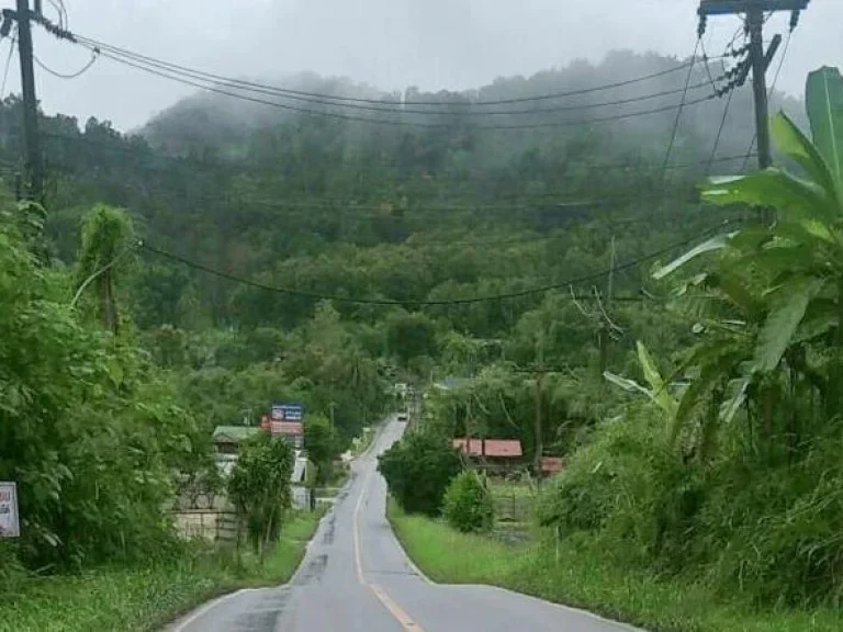 ขายที่ดินสะเมิงบ้านแม่สาบ ห่างถนนหลัก 1 km