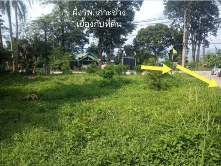 ขายที่ดินบนเกาะช้าง จตราด จำนวน 2 ไร่ มีโฉนด ขายด่วน