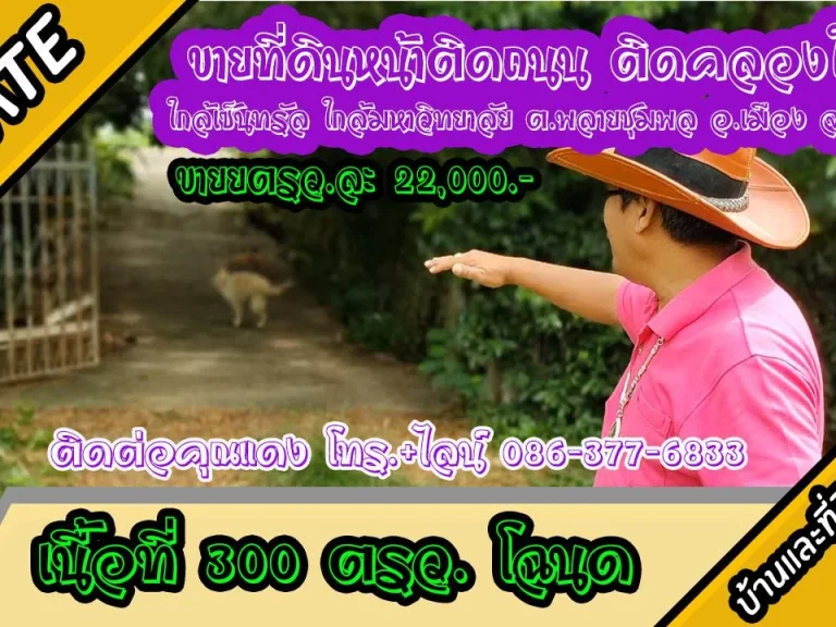 ขายที่ดินติด 300ตรวถนนดำ ติดคลองชล ใกล้เซ็นทรัล ใกล้มหาวิทยาลัย ตพลายชมพล อเมืองพิษณุโลก ตรวละ 22000-