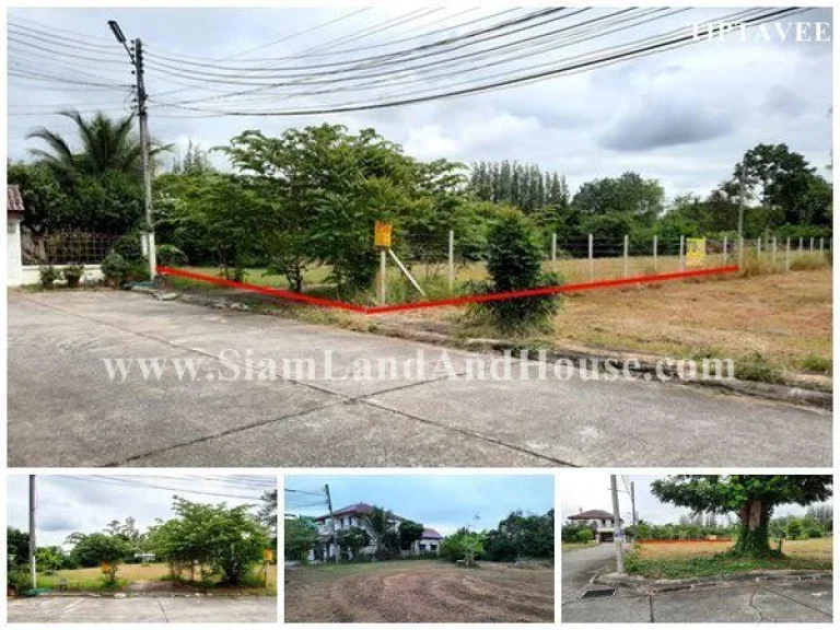 22417 ขายที่ดินเชียงใหม่ ที่ดินลานนาธานี ใกล้โรงเรียนจีนช่องฟ้า สารภี Sale Land on Lanna Thani Village Saraphi Chiangmai