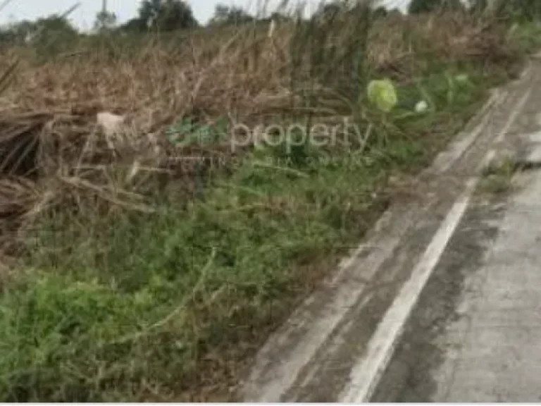 ขายที่ดินสวยถูก ฟรีโอน ติดถนนคอนกรีต ถนนสาธารณ กว้าง 6 เมตร