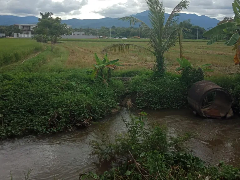 ที่นาห้วยทราย อแม่ริม เชียงใหม่