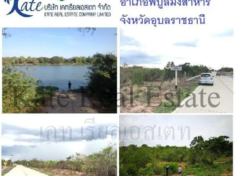 ขายที่ดินจังหวัดอุบลราชธานี 22 ไร่ ติดแม่น้ำมูลทั้งผืน