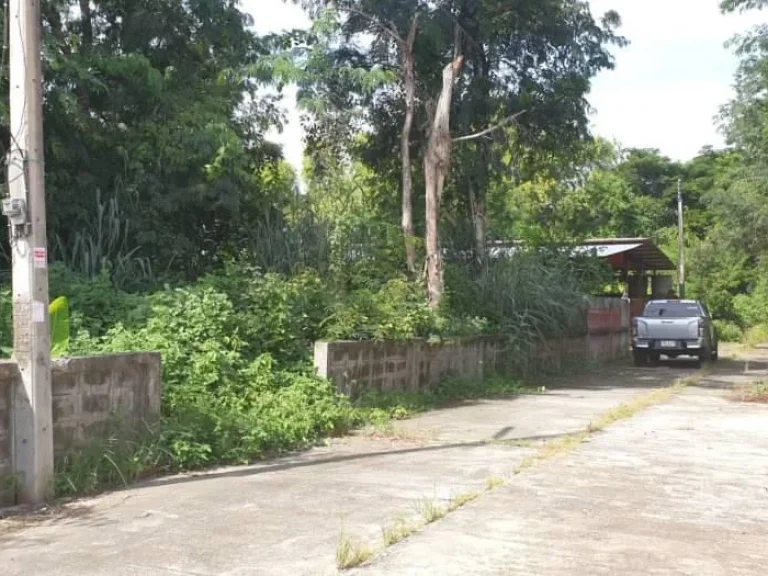 ขายที่ดินติดถนนสองด้านแม่คืิอ ดอยสะเก็ต ราคาถูก