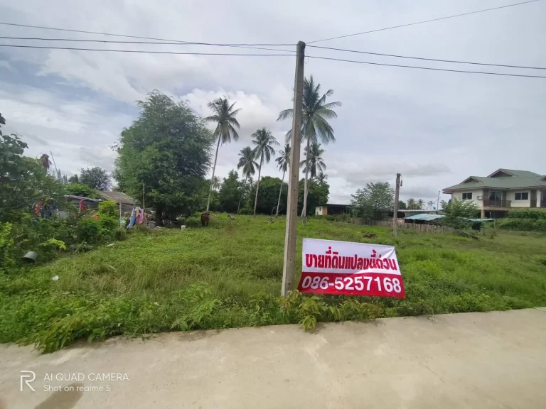  ขายด่วน  บ้านนา ตห้วยใหญ่ บางละมุง เมืองพัทยา เจ้าของขายเอง ที่ดินเปล่า 1 ไร่ 30 ตารางวา ทำเลดี เหมาะปลูกบ้านพักตาก