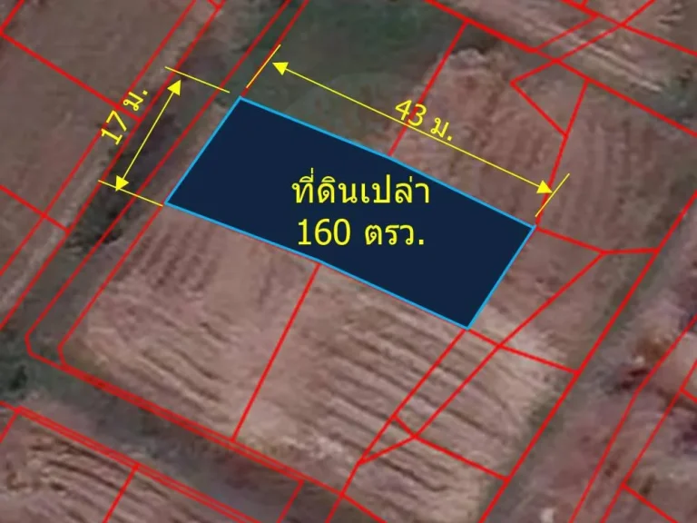 ขายที่ดินเปล่า 160 ตรว ตขุนคง อหางดง