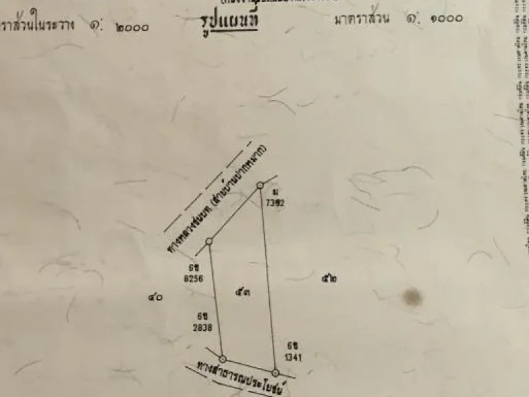 ขายที่ดินปลูกบ้านตำบลเขาแก้วจำนวน 2 งานเศษ ในหมู่บ้านขายเหมา39แสน