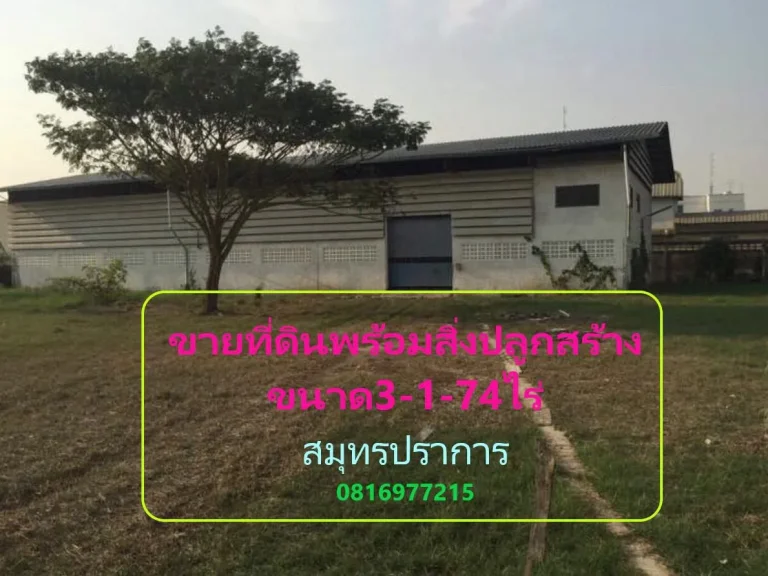 ขายที่ดินพร้อมสิ่งปลูกสร้างทำโรงงาน3-1-74ไร่ ผังม่วง ติดถนน ไฟฟ้า ประปา