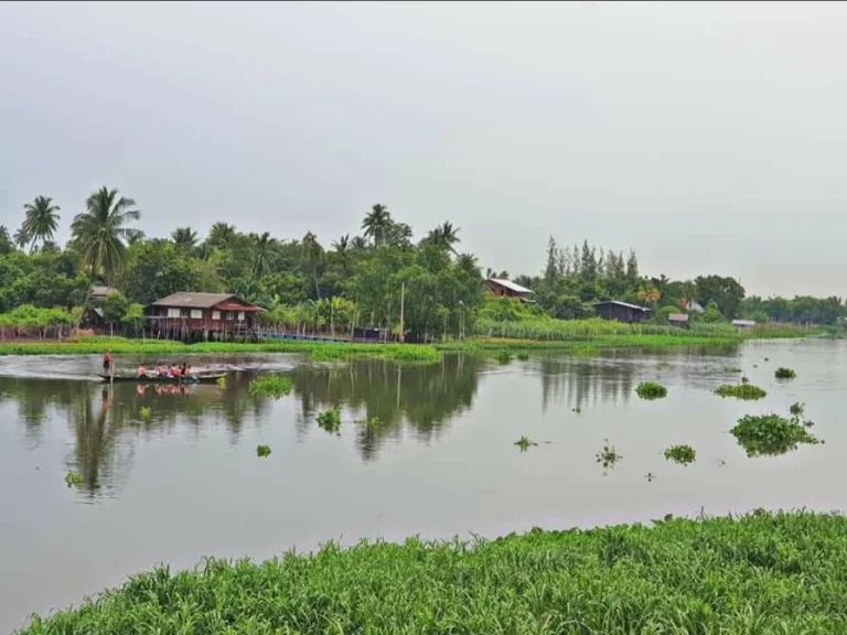 ที่ดิน2ไร่เศษติดแม่น้ำนครชัยศรี ตไทยาวาส