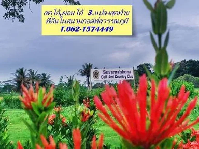 ที่ดินพรีเมี่ยม 3 แปลงสุดท้าย สดได้ ผ่อนได้ในสนามกอล์ฟสุวรรณภูมิ