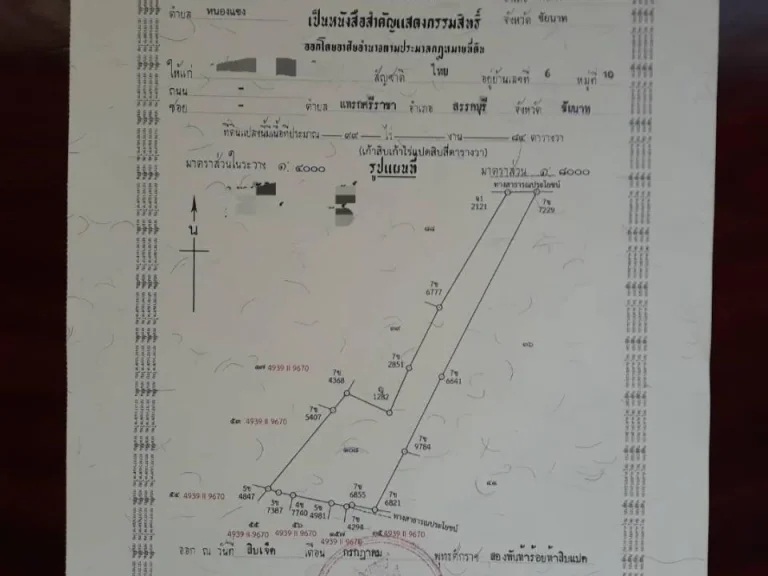 ที่ดินสวย 99ไร่