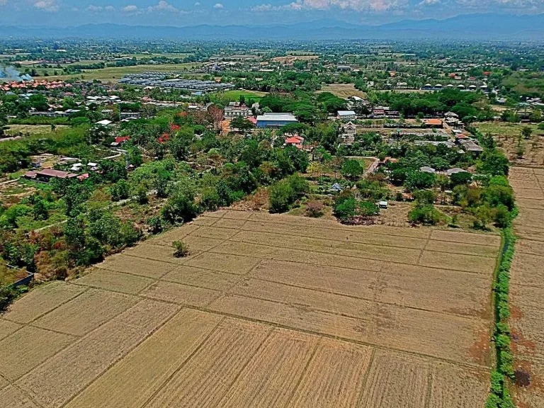 ขายที่ดินสันกำแพงสายเก่า ผังเมืองสีเหลือง ตำบลสันกำแพง อำเภอสันกำแพง เชียงใหม่