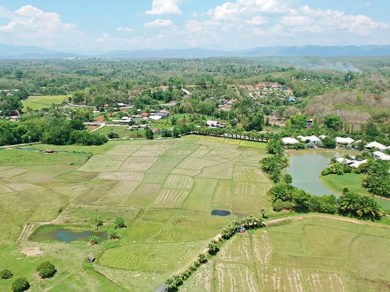 ขายที่ดินเนินเขา วิวดอย ทิวทัศน์ทุ่งนา ตำบลสะลวง อำเภอแม่ริม เชียงใหม่