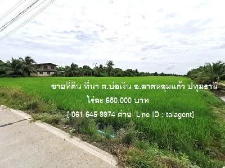 ขายที่ดิน ที่นา ตบ่อเงิน อลาดหลุมแก้ว จปทุมธานี 26 ไร่ 32 ตรว ใกล้วัดเจดีย์หอย