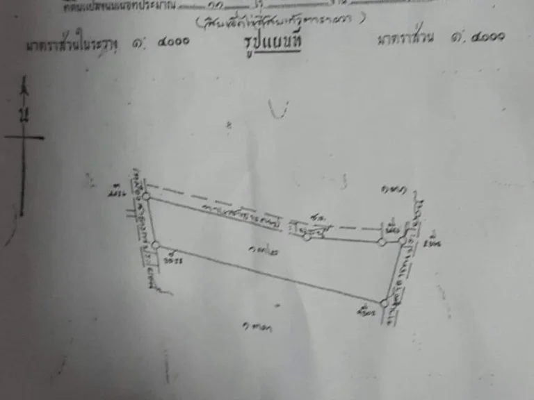 ชายที่ดินวังยาง