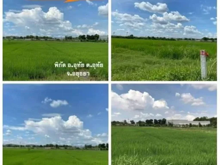 ขายที่ดินติดถนนโรจนะ ตำบลอุทัย อำเภออุทัย จังหวัดพระนครศรีอยุธยา