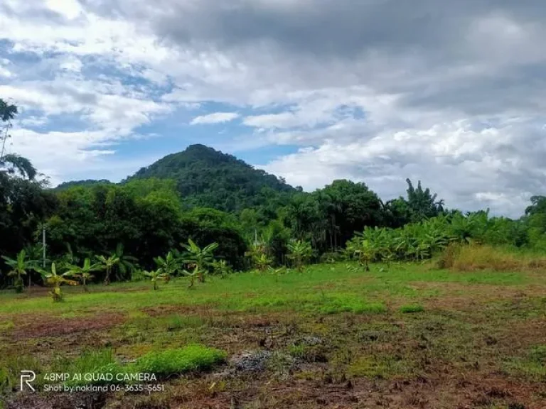 ขายสวนสวยพร้อมบ้านหลังน้อยน่ารัก อเมือง จนครนายก