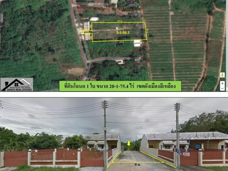 ขายที่ดินสวนมอมเบอรี่ 3-3-503ไร่ บ้านด่านหยิด ผังสีเหลือง