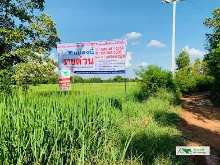 ที่ดิน 7 ไร่ ตนาสีนวล อกันทรวิชัย มหาสารคาม