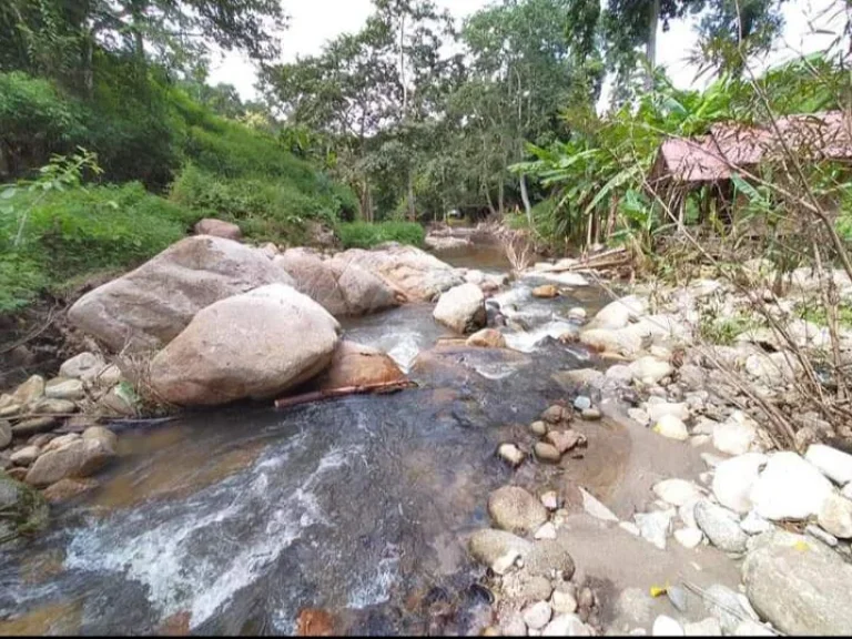 ขายที่ดินติดลำธารน้ำ บ้านปางจำปี แม่ออน