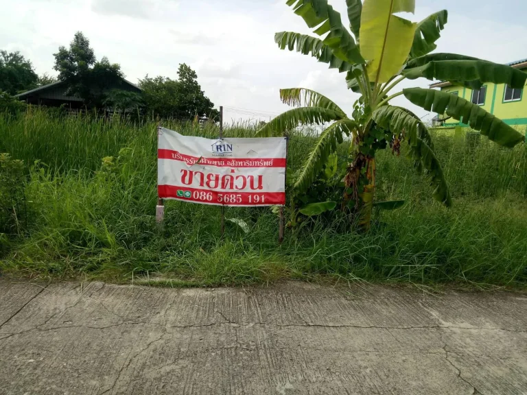 ด่วน ถูกมาก ที่ดิน 100 ตรว สุวินทวงศ์ 28 เเยก 3 ซอยมะกอกนิมิตร